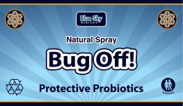 Bug Off - Natural Spray