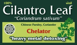 Cilantro Leaf