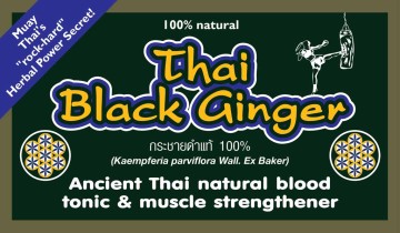 Thai Black Ginger