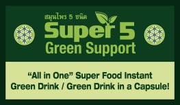 Super 5 Green Support